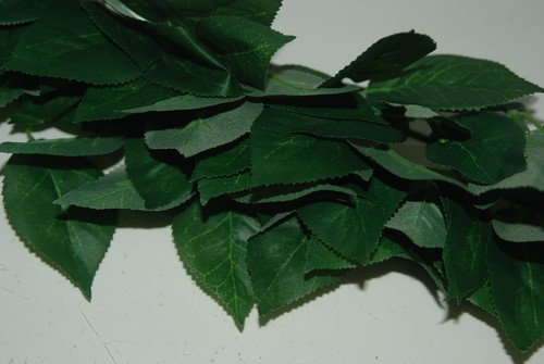 Terrarium vivarium petit ficus - terrarium,