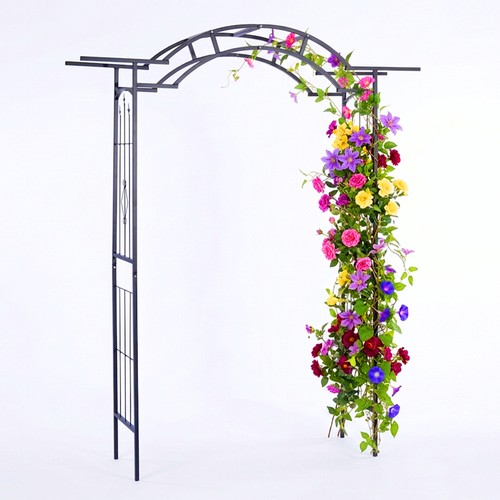 Arche roses de - arche,