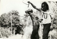 OLD PHOTO - VINTAGE SNAPSHOT - ANIMAL DOG GAME JUMP DRESSAGE - DOG JUMP