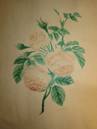 Ecole francaise xix dessin - francaise,