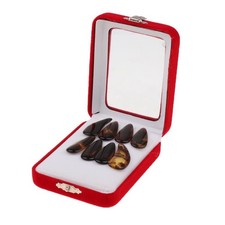 Poli 1 paket Guzheng  Choisit