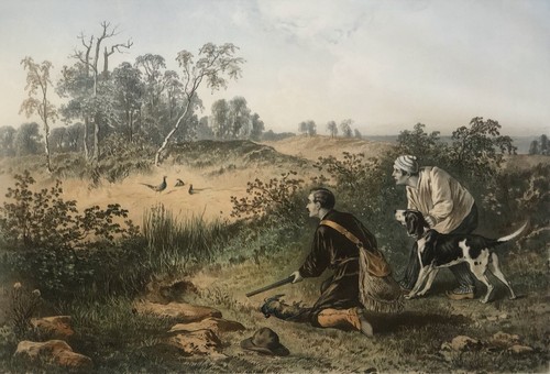 Chasse faisan setter - au,