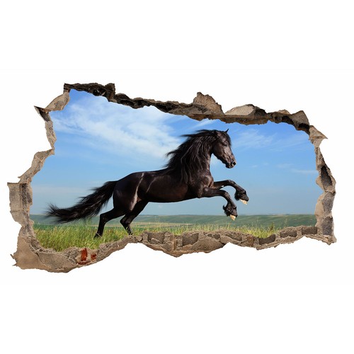 Autocollant mural wl34 cheval - autocollant,