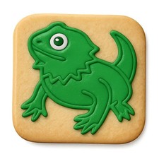 Curious Pogona Bearded Dragon