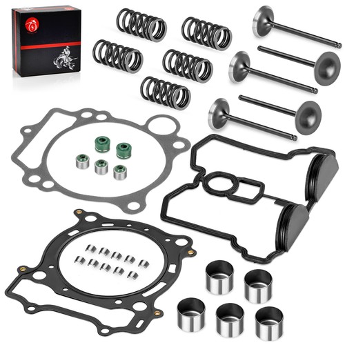 Intake exhaust valves springs - exhaust,