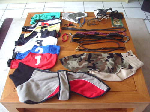 Gros lot accessoires chien - gros,