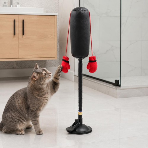 Jouet interactif chat boxe - jouet,