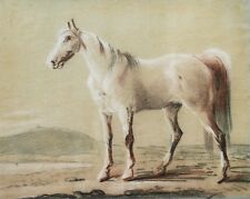 Antique Drawing Equestrian Portrait Horse White Blood Three Pencils Painting Art