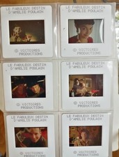 FABULOUS DESTINY AMELIE FOAL 9x slides slide cinema 