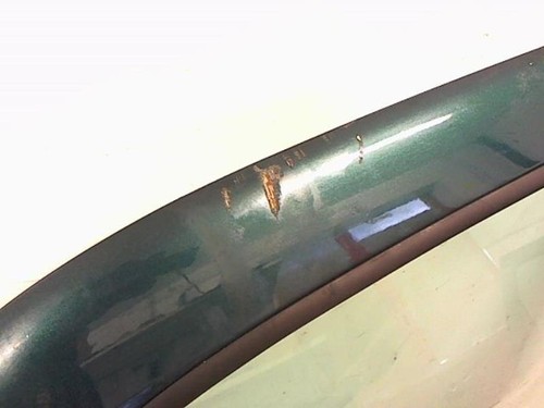 Porte avant gauche volkswagen - porte,
