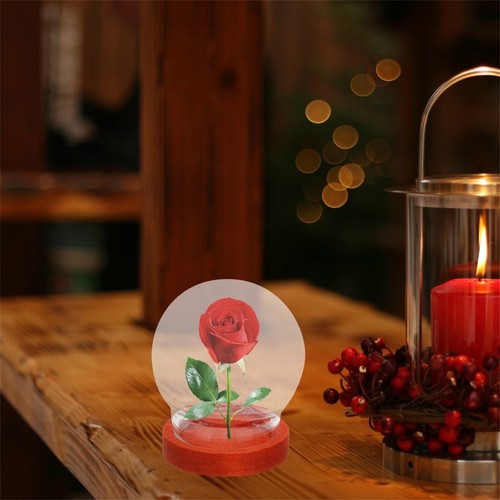 Pcs petite vitrine verre - 2, petite+vitrine+en+verre