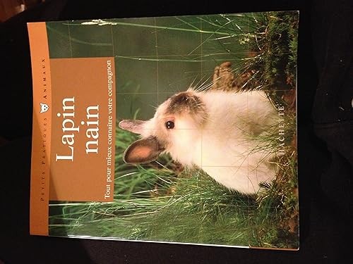 Lapin nain bien le - le, nain: