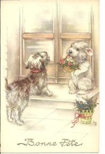 CHIEN - Deux petits chiens