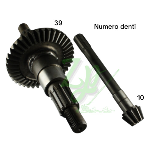 Paire conique pignon couronne - paire,