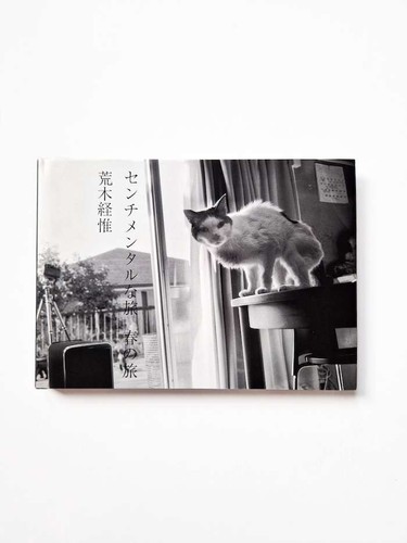 Sentimental journey spring - sentimental,