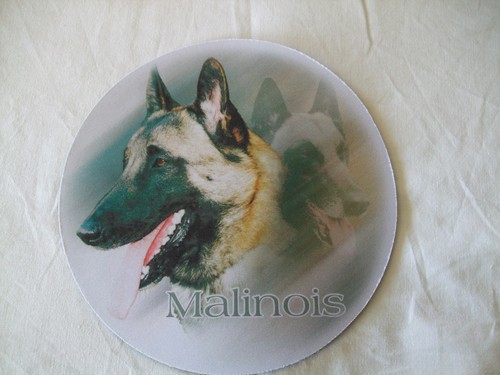 Tapis souris malinois ter - tapis, de