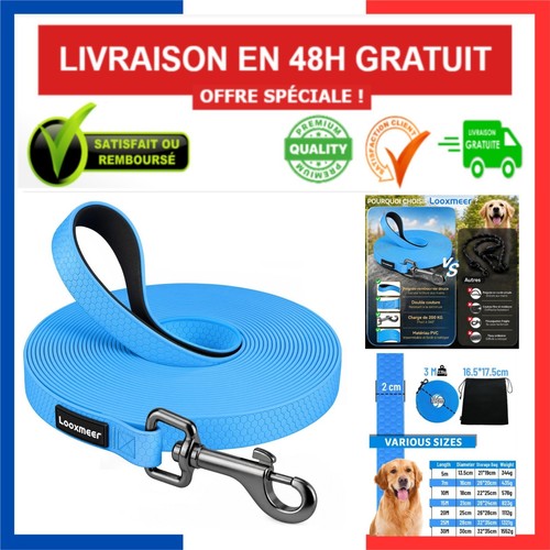 Longe chien 30m laisse - longe,