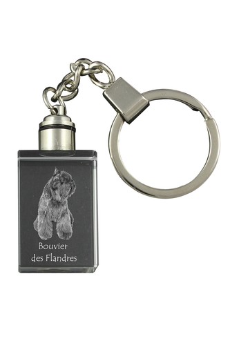 Chien traîneau flamand - de,