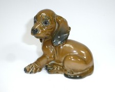 Chiot Chien Teckel Rosenthal