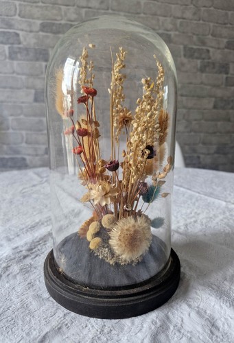 Globe cloche verre avec - cloche,
