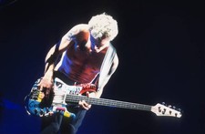 Flea Red Hot Chili Peppers