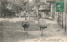 75-PARIS- JARDIN DES PLANTES