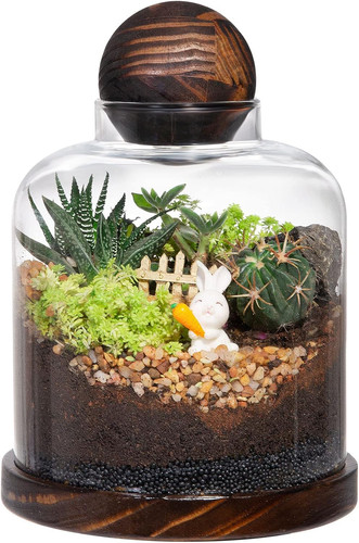 Large glass terrarium with - large,
