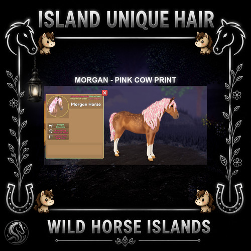 Wild horse islands rc - horse,