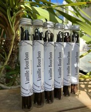 10Gousses de VANILLE BOURBON