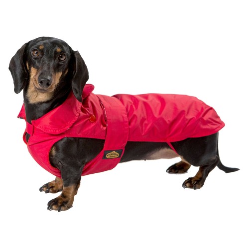 Manteau chien fashion - de,