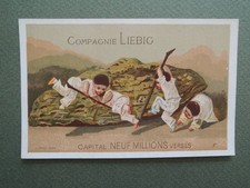 CHROMO   LIEBIG      S 22