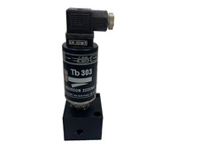 BOURDON SEDEME Tb303  Pressure Sensor EM 0.5 bar R 4...20mA