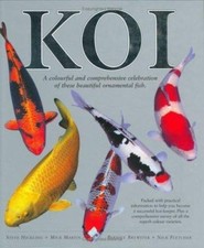 Koi : Une Célébration
