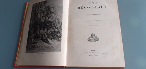 Esprit des oiseaux henry - des,