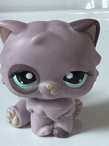 Petshop chat persan 1027 - persan,