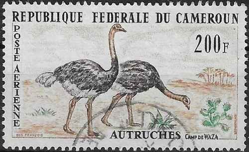 Timbre oiseaux cameroun pa55 - oiseaux,