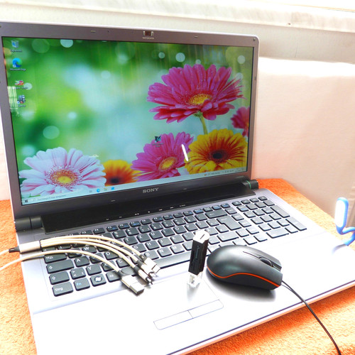 Sony vaio aw21 pouces - sony, hdp
