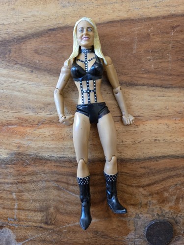 Wwe figurine articulée 2007 - figurine,