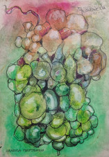 Original work signed Domenech, imaginary fruit herbarium, 32 x 46 cm