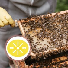 6 Pcs Apiculture Materiel