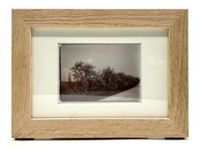 Émile ZOLA, Photographie originale prise par Zola - Arbres fruitiers Médan