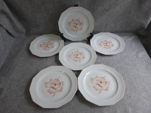 Assiettes plates en - plates,