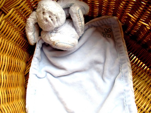 Lapin plat bleu - plat,
