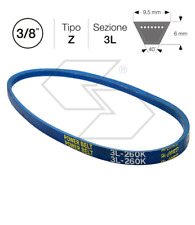 M 77167 Courroie pour Tondeuse