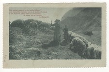 Old postcard - painting and poem: shepherdess and sheep - unwritten - animal painting