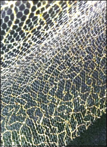 Tulle souple décoration - tulle,