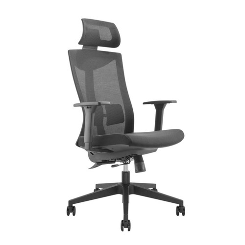 Fauteuil bureau ergonomique - fauteuil,
