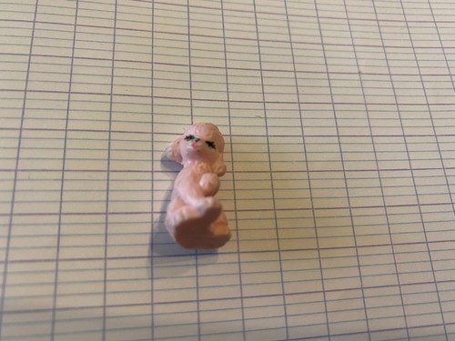 Tout petit chien puppy dog - ,