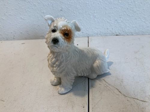 Karl ens porcelain terrier - karl,