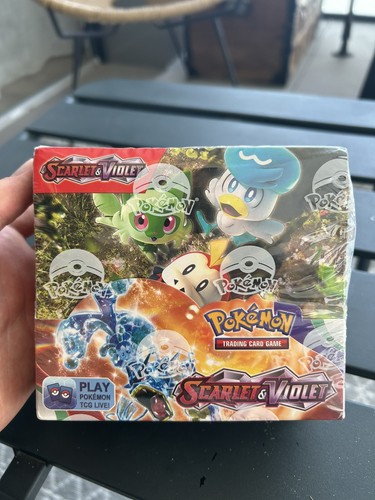 Display pokémon anglaise - pokémon,